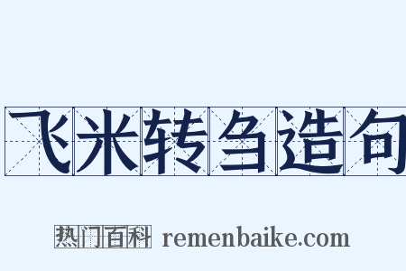 飞米转刍造句是什么意思的图片